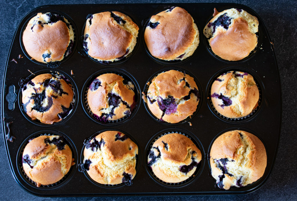 Blueberry muffins in a muffin baking pan