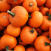 How To Pick The Best Pumpkin