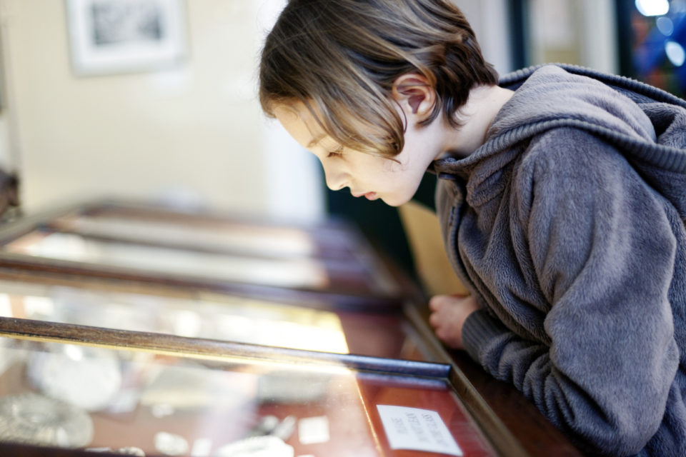A young girl looking at an exhibit in a glass display case in a museum